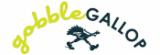 race logo